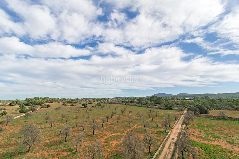 Foto ada95dab-51f8-4af0-b671-d2a07a487227. Bauernhof mit kamin in Sant Joan
