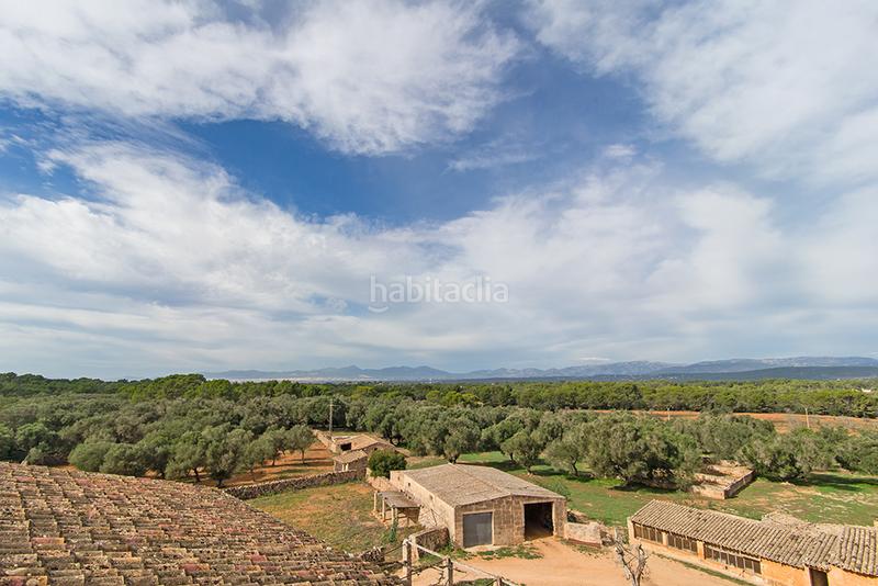 Foto cb7b6a45-6e17-4864-a6c8-3c44e6fdf39c. Bauernhof mit kamin in Sant Joan