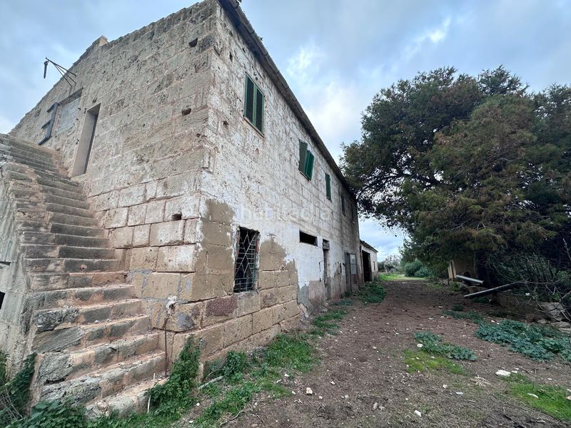 Foto 1a0f2a47-3bc8-4fbb-bde2-d7c61016990f. Finca rústica a Sa Casa Blanca Palma de Mallorca