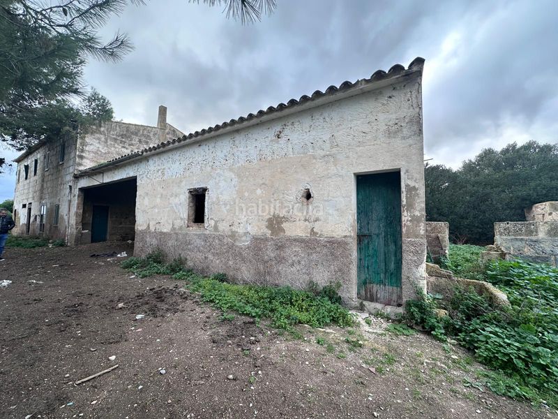 Foto 23a82598-5159-493b-8069-ac7b1d4cc9a5. Finca rústica a Sa Casa Blanca Palma de Mallorca