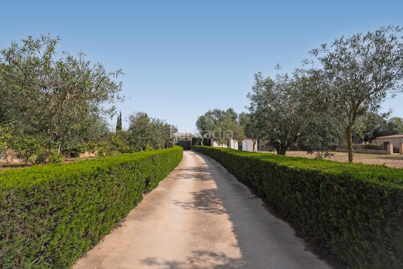 Foto 26ce6d1a-981b-42ca-ae0f-6fa9658f0a8c. Mas avec cheminée chauffage parking piscine dans Llucmajor interior Llucmajor