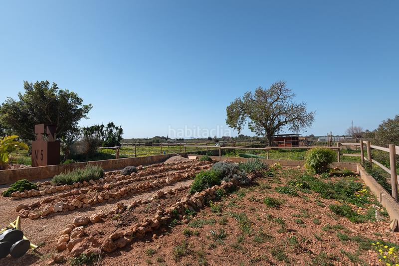 Foto 611cb497-c5a9-48d5-8fc5-5cefce690d9c. Casale con camino riscaldamento parcheggio piscina in Llucmajor
