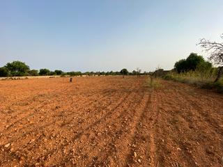 Finca rústica en Carrer castella 21. Gran finca para construir