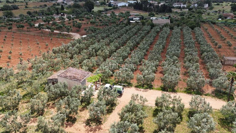 Foto 6ebac55c-d030-4898-9c2b-1c5c49e80567. Finca rústica a ronda de ponent 70 a Llucmajor interior Llucmajor