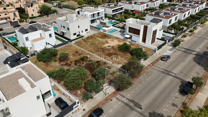 Foto 7ca4ce31-5309-4164-841b-636300f66397. Terreny residencial a avinguda dels ocells 9b a Maioris-Puig de Ros Llucmajor