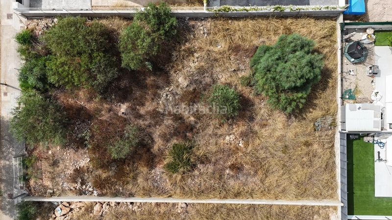 Foto b904d9ea-0b69-4ec4-a6fb-18fb3c36bc17. Terreny residencial a avinguda dels ocells 9b a Maioris-Puig de Ros Llucmajor
