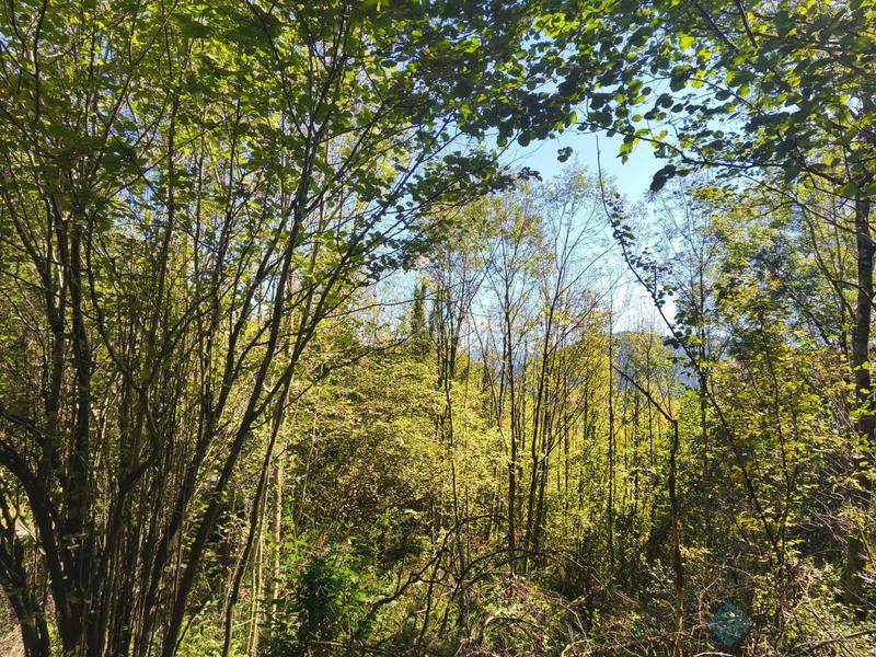 Foto 0141381a-a3c4-4d65-bee4-40e65530503b. Chalet mit heizung in Elorrio