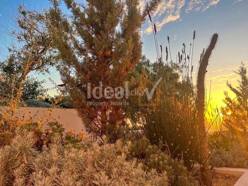Foto cccf987b-9d27-4769-b618-6d16ce22f4e5. Maison avec piscine dans El Escobonal - Pájara Güímar
