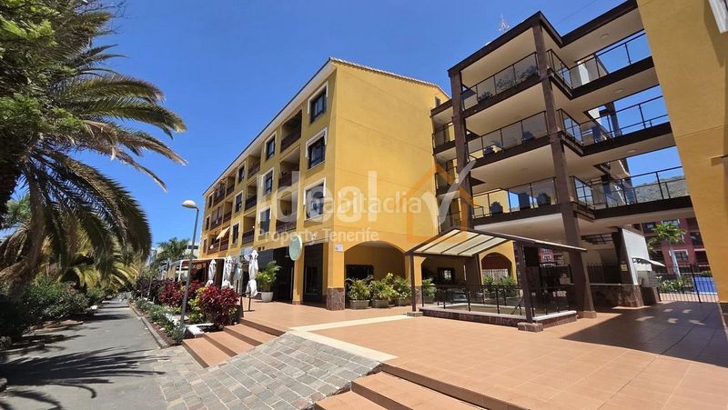 Foto e3044bce-7c49-4c60-8a6e-58ff203d0b92. Apartament amb piscina a Palm - Mar Arona