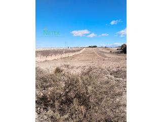 Terreno residencial  N/a. Se vende terreno edificable en pinoso