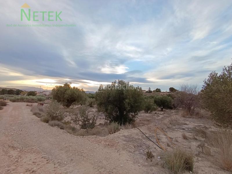 Foto 33479834-5832-456b-8454-d4b4feae1720. Fondo rustico in Los Valientes Molina de Segura