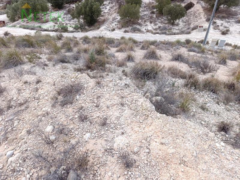 Foto 965705e9-b6f9-4fe1-aeb3-263793166de4. Fondo rustico in Los Valientes Molina de Segura