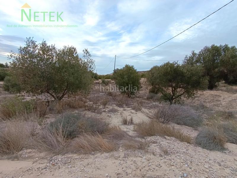 Foto a4ddd345-2e1c-4d98-95f0-9d08e84716d7. Fondo rustico in Los Valientes Molina de Segura