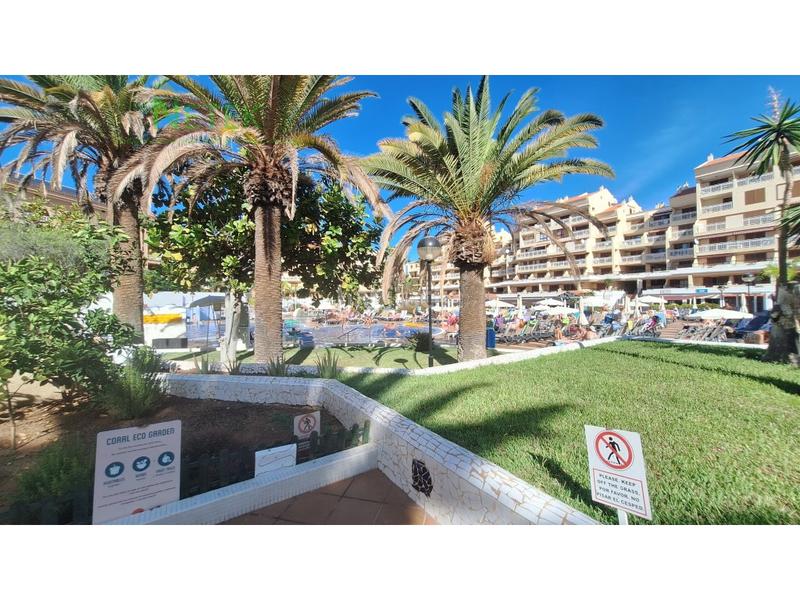 Foto 6e8d58de-4183-4b8e-bdc7-3e359eaf0d20. Piccolo appartamento in Playa de las Américas Arona