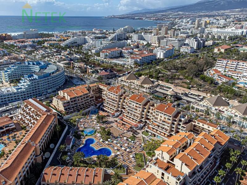 Foto 7f4fc5f2-6fc4-473a-8ba1-5f78eb781772. Piccolo appartamento in Playa de las Américas Arona