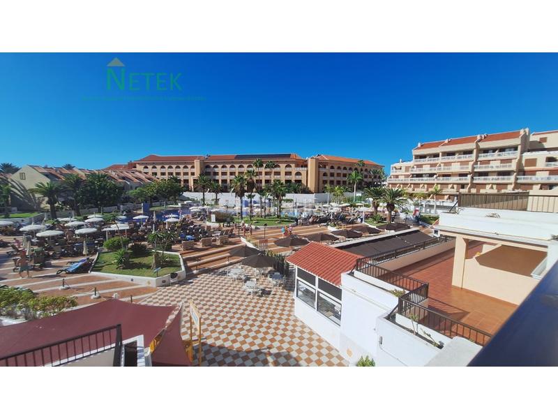 Foto ece9485d-f599-4247-99b2-a10e8ccc6482. Piccolo appartamento in Playa de las Américas Arona