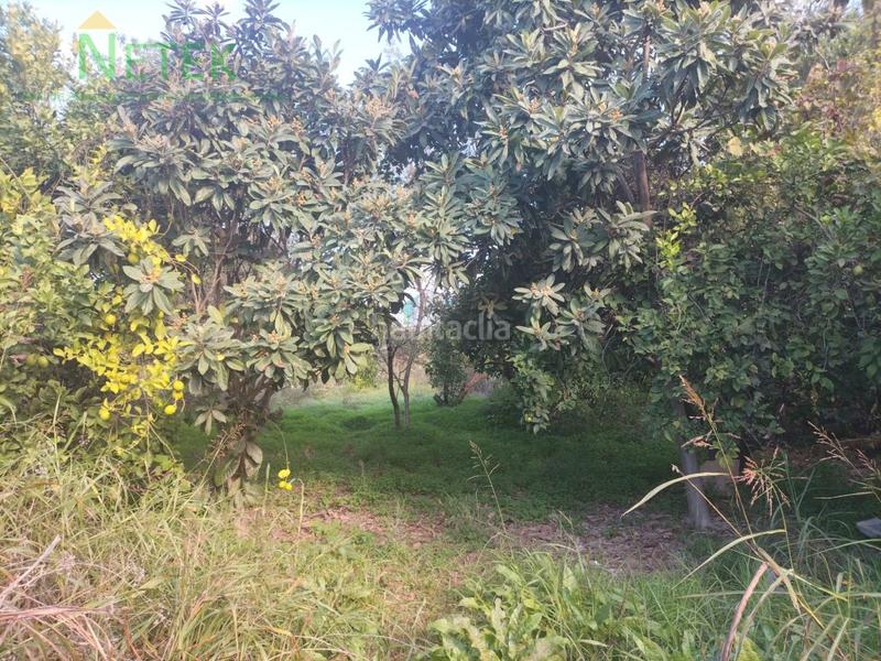 Foto 307b40b5-51ca-4300-9b71-a2fde5bfcf17. Maison dans Beniaján Murcia