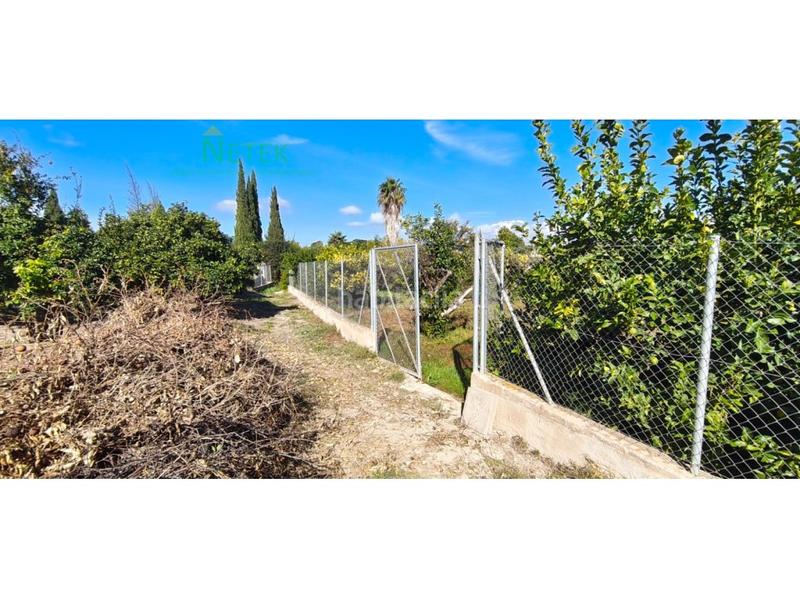 Foto e600b402-f7d3-4239-a3dd-a0cf59e62b2f. Terreny residencial a Nonduermas Murcia