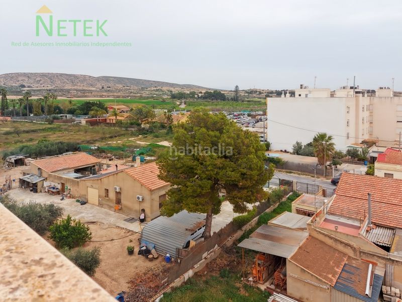 Foto 23dabaaa-c877-4296-91f9-44fcf398a874. Pis a Torrellano Elche / Elx