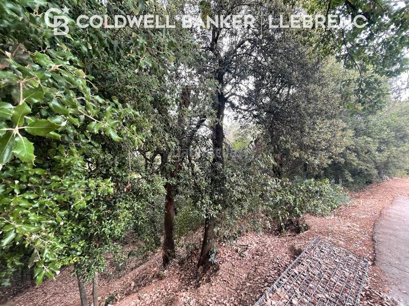 Foto c8d5c8e8-e2e7-412d-8f72-08aa6dcee3d6. Terrain résidentiel dans Vallvidrera - Tibidabo - Les Planes Barcelona