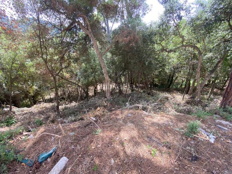 Foto 067d2be0-4b99-4910-b39d-ac2efb80b893. Terreny residencial a Palafolls