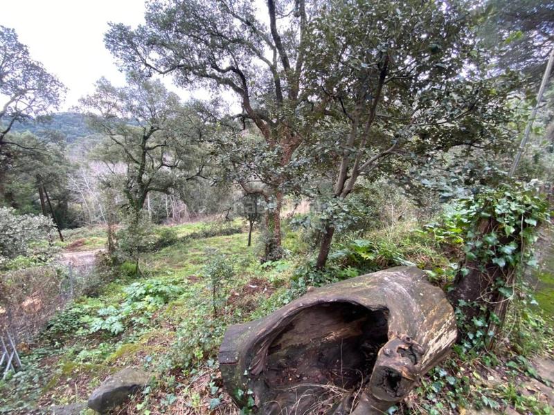 Foto e466d1b8-fb56-4d3b-b216-839c05a55622. Finca rústica a Niàgara Parc -Àgora Parc Tordera