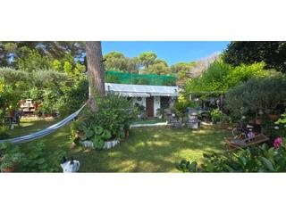 Finca rústica  Olivera. Se vende como terreno