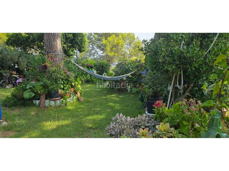 Foto beb3d06c-641a-45c6-abde-48100cee613d. Finca rústica se vende como terreno en Palafolls