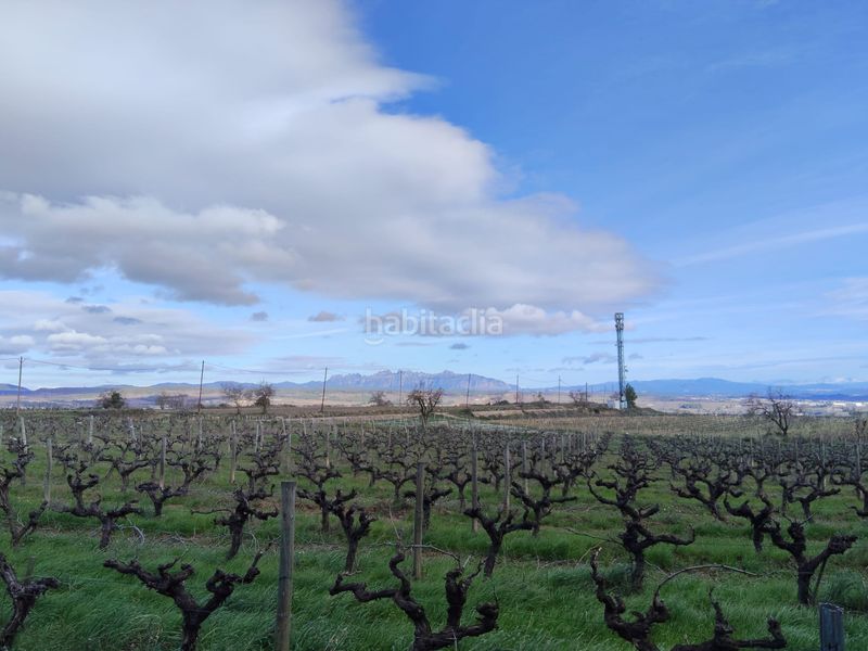 Foto a51cd2e5-2ad8-4b98-b350-d04266858ca9. Pis a Granada (La)