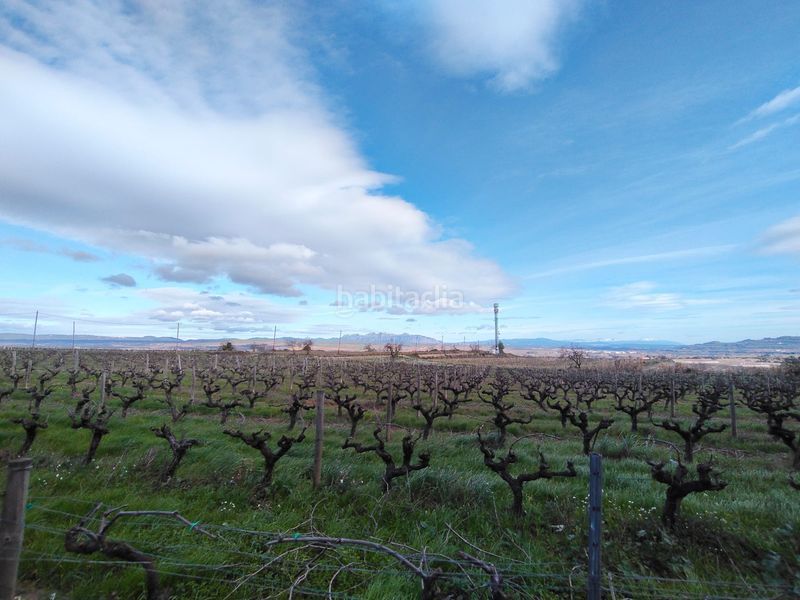 Foto db484362-2450-4c12-a0df-3ee9736069c9. Pis a Granada (La)