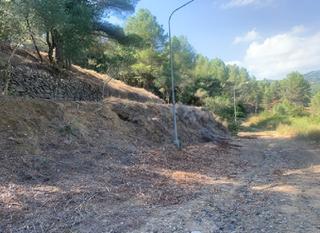 Residential Plot  Carrer de les rutxel les