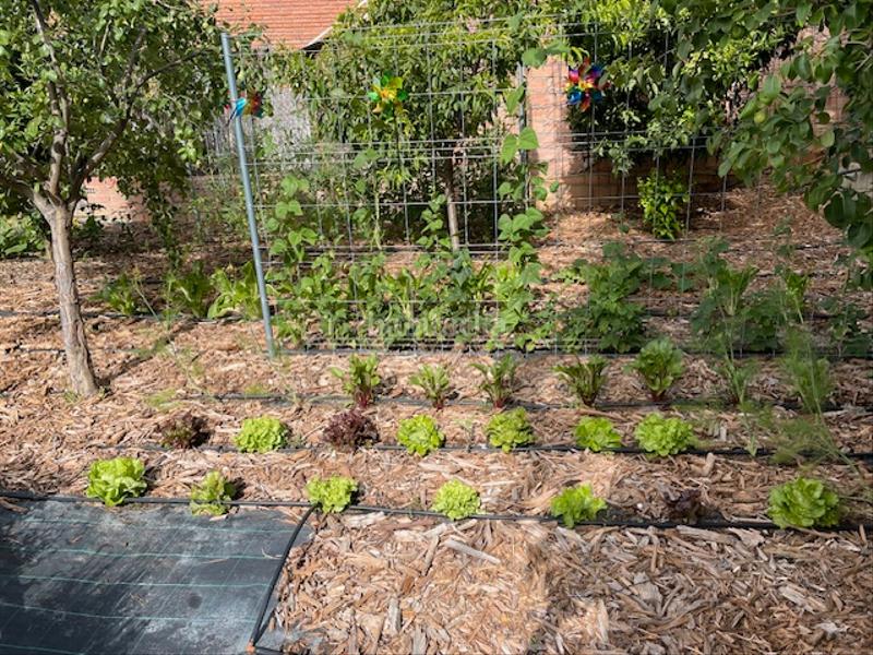 Foto c943080a-6a76-43e2-815c-0d68d690559f. Alquiler piso  de alquiler con terraza y vistas espectaculares en Garriga (La)