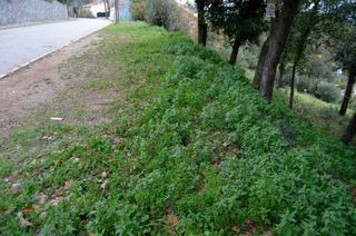 Terreno residencial en Sant Pere de Vilamajor. Preciosas vistas