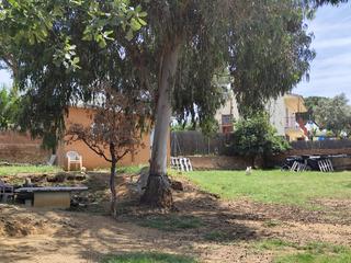 Terreny residencial  Carrer de cànoves
