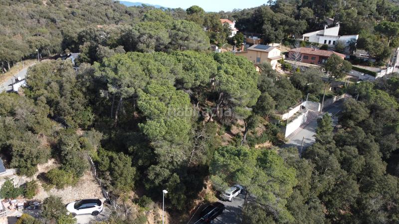 Foto 1616b66b-d9f4-4841-83f4-cd7c93010170. Terreny residencial a carrer llenega negre 3 a Vallgorguina