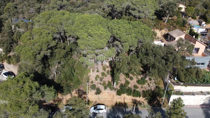 Foto 607ba0e1-b52c-4476-a289-e6783f5290bd. Terreny residencial a carrer llenega negre 3 a Vallgorguina