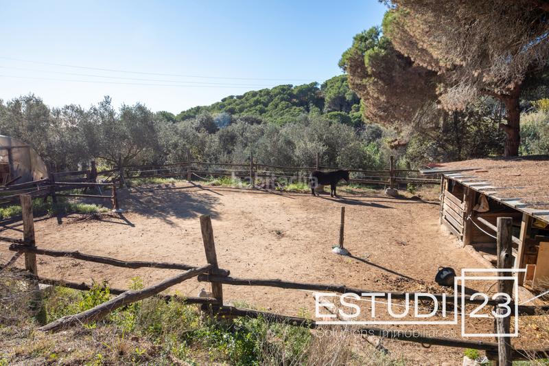 Foto 0f646087-7634-4def-9590-00b90726befe. Mas dans Urbanitzacions Arenys de Mar