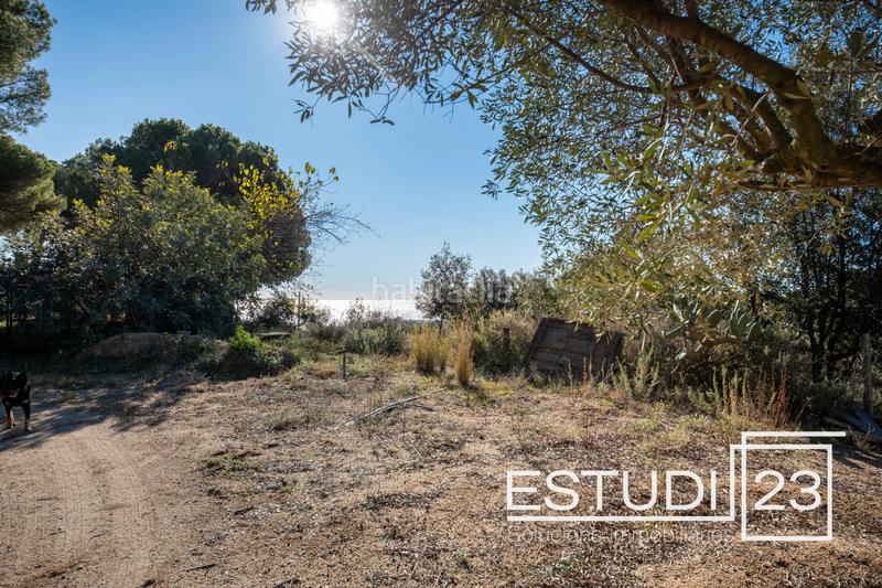 Foto 151fc039-411d-494a-93b2-63b8cffd2716. Mas dans Urbanitzacions Arenys de Mar