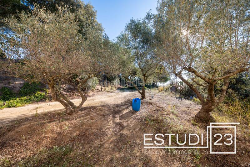 Foto 43d60bb1-9ba0-4ccf-88e2-8bbeed44b812. Mas dans Urbanitzacions Arenys de Mar