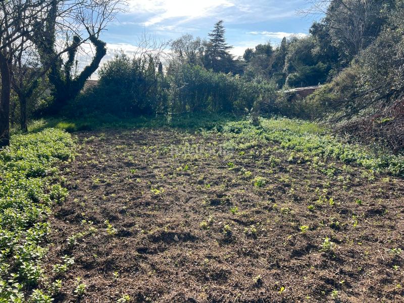 Foto e39512c0-8245-4390-ad4a-bd85e8d82b78. Casa a camí de pins 12 a Vilopriu