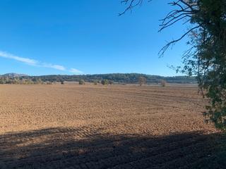 Finca rústica a Carretera ullastret 1. Baix empordà, ullastret, terrenos de cultivo.