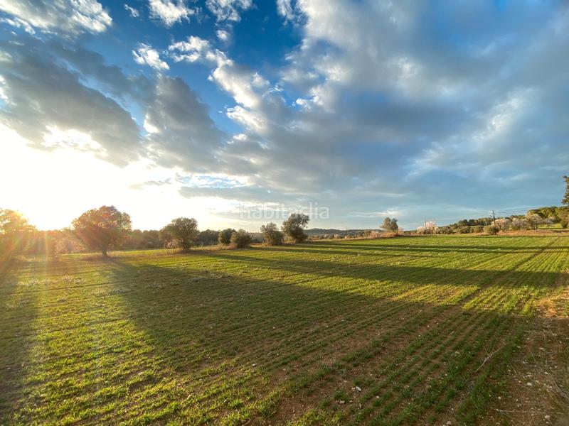 Foto de1956d8-afd1-4a53-ba07-9e662242bb89. Casa a carrer gran 25 a Garrigàs