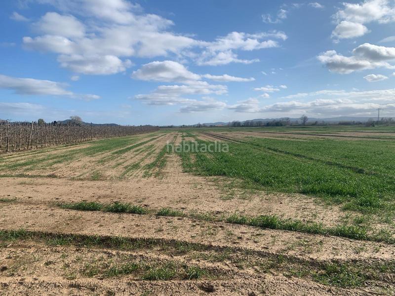 Foto 041c223e-5f62-4204-94da-d8de3f88489e. Finca rústica en n/a baix empordà, gualta, terreno. en Fontanilles