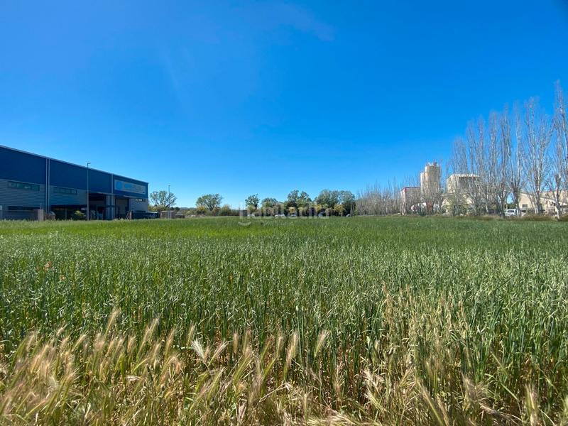 Foto 7586d426-98ba-449e-90dd-bea80b8d00b4. Solar industrial a carrer acacies 8 a Forallac