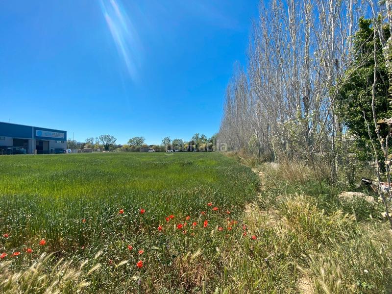 Foto f7d0be4f-fe3e-46f1-8b2a-405ac6d5146f. Solar industrial a carrer acacies 8 a Forallac