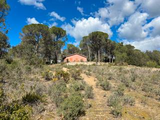 Finca rústica a Carrer grup esperança 10. Baix empordà, san sadurní de la heura, barraca con terreno