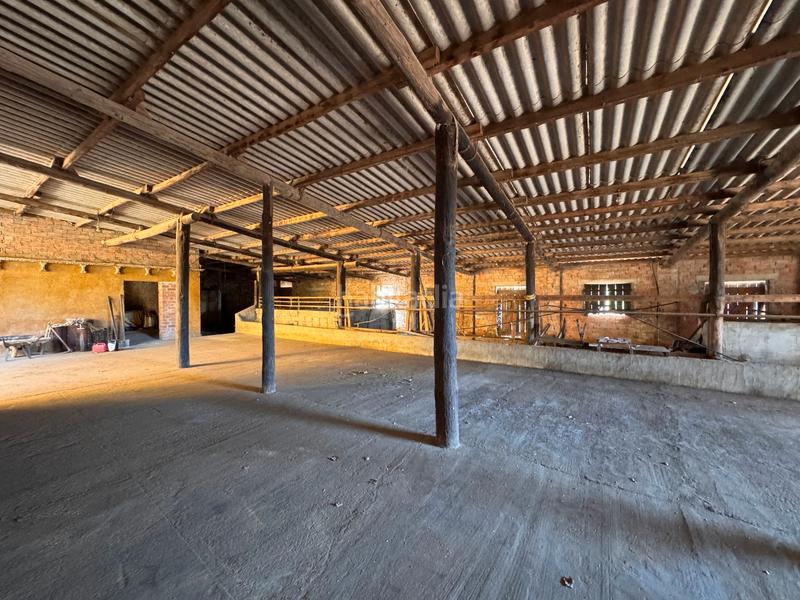 Foto c2101874-24b6-4108-a904-cba74b89b515. Casa baix empordà, , mas. en Molí de Vent-La Sauleda Palafrugell