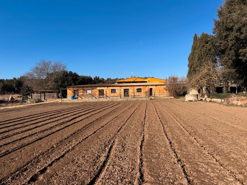 Foto cf3d56f5-7c2a-4eaa-8b88-63ed5eae3e15. Casa baix empordà, , mas. en Molí de Vent-La Sauleda Palafrugell