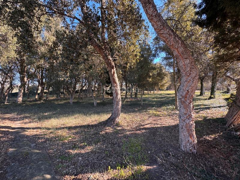 Foto da07bd74-aaf4-4b19-9ab0-539bfe8fd7b3. Casa baix empordà, , mas. en Molí de Vent-La Sauleda Palafrugell