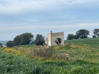 Finca rústica  Camí de la portalada. Baix empordà, palafrugell, terrenos.